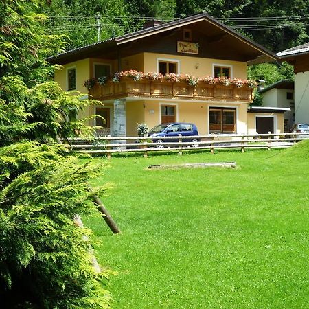 Vronis Landhaus Apartments Hüttau Extérieur photo